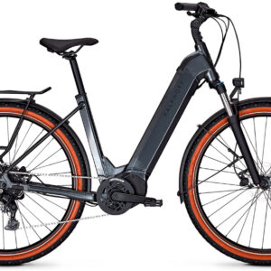 Aruba Hybrid 600 cactus´n´brown Easy Entry